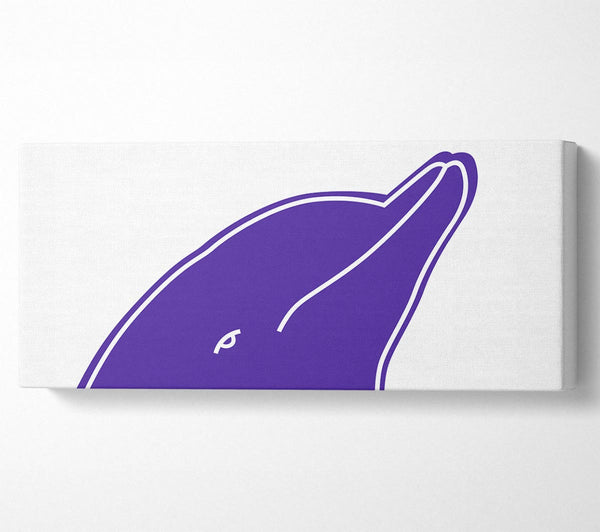 Purple Dolphin