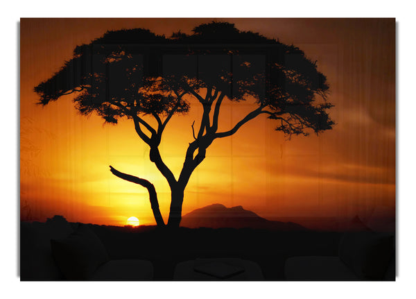 African Tree In Golden Sunlight Ethnic