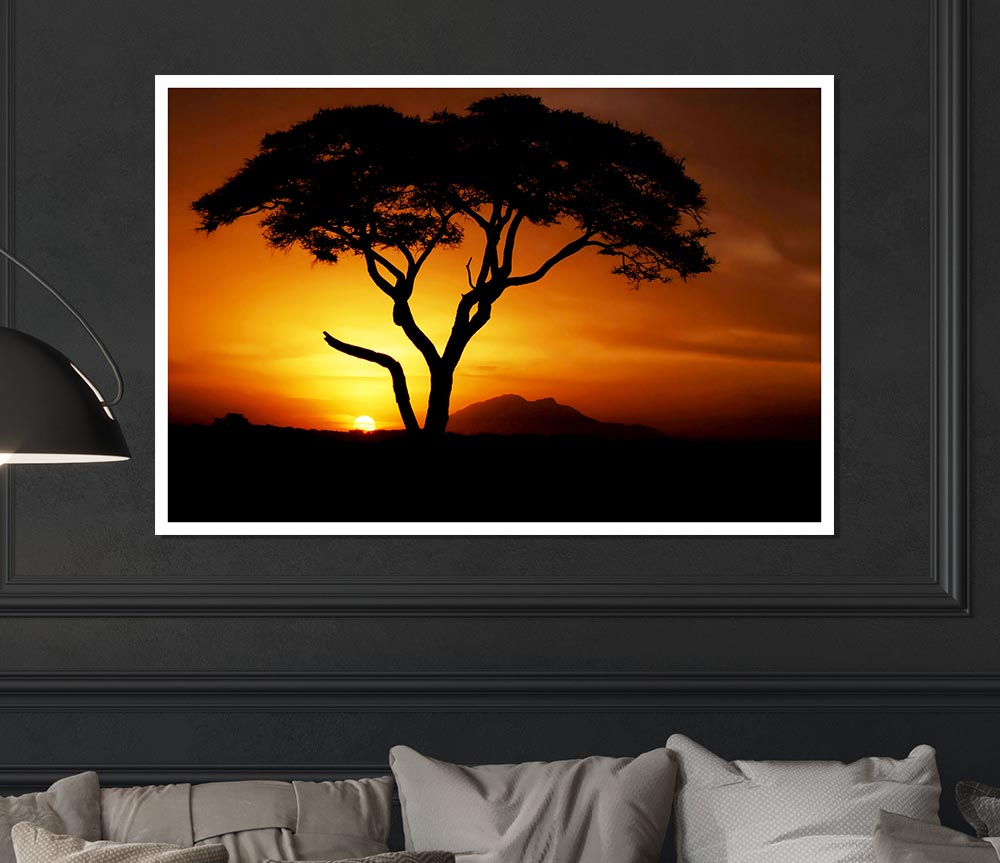 African Tree In Golden Sunlight Print Poster Wall Art