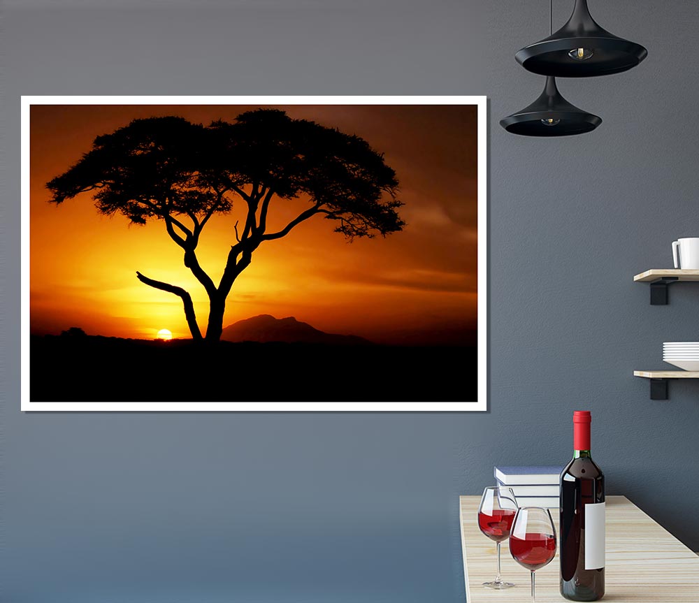 African Tree In Golden Sunlight Print Poster Wall Art