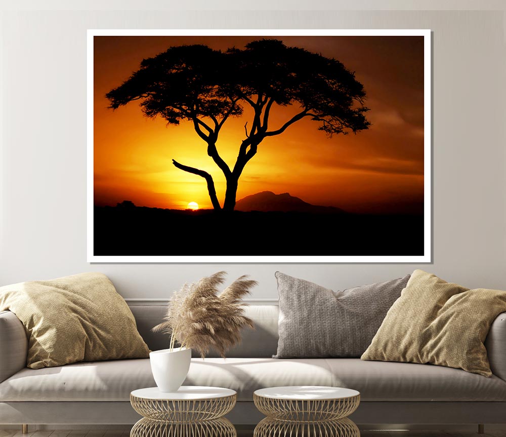 African Tree In Golden Sunlight Print Poster Wall Art