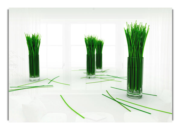 Wheat Glass Grass