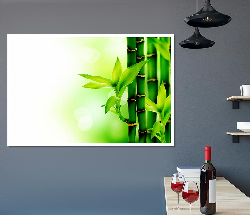 Bamboo Perfection Print Poster Wall Art