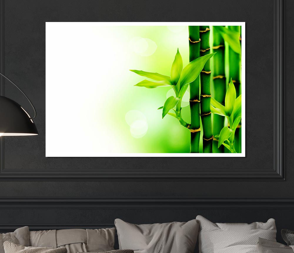 Bamboo Perfection Print Poster Wall Art