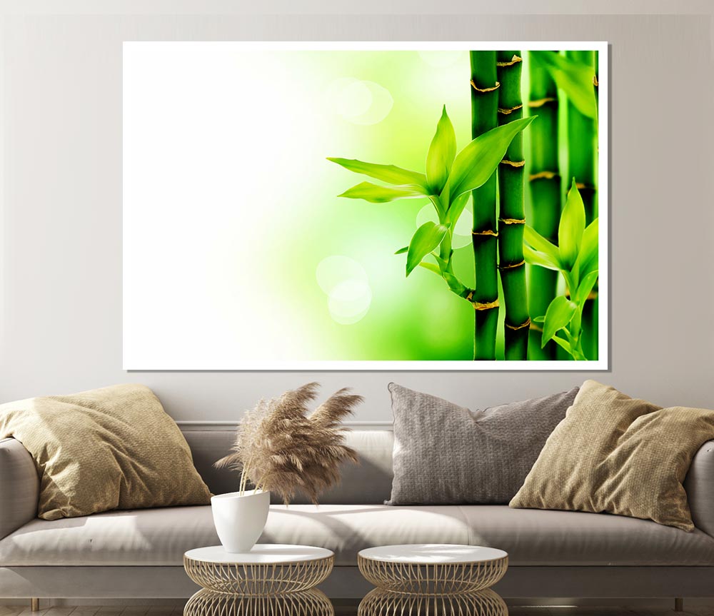 Bamboo Perfection Print Poster Wall Art