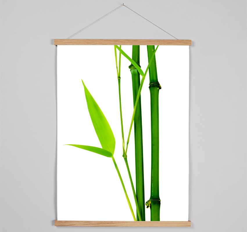 Bamboo Cane Hanging Poster - Wallart-Direct UK