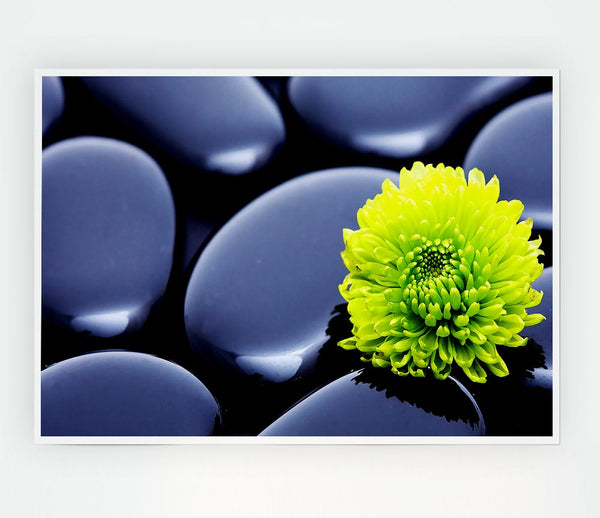 Black Zen Stones And A Yellow Mum Print Poster Wall Art