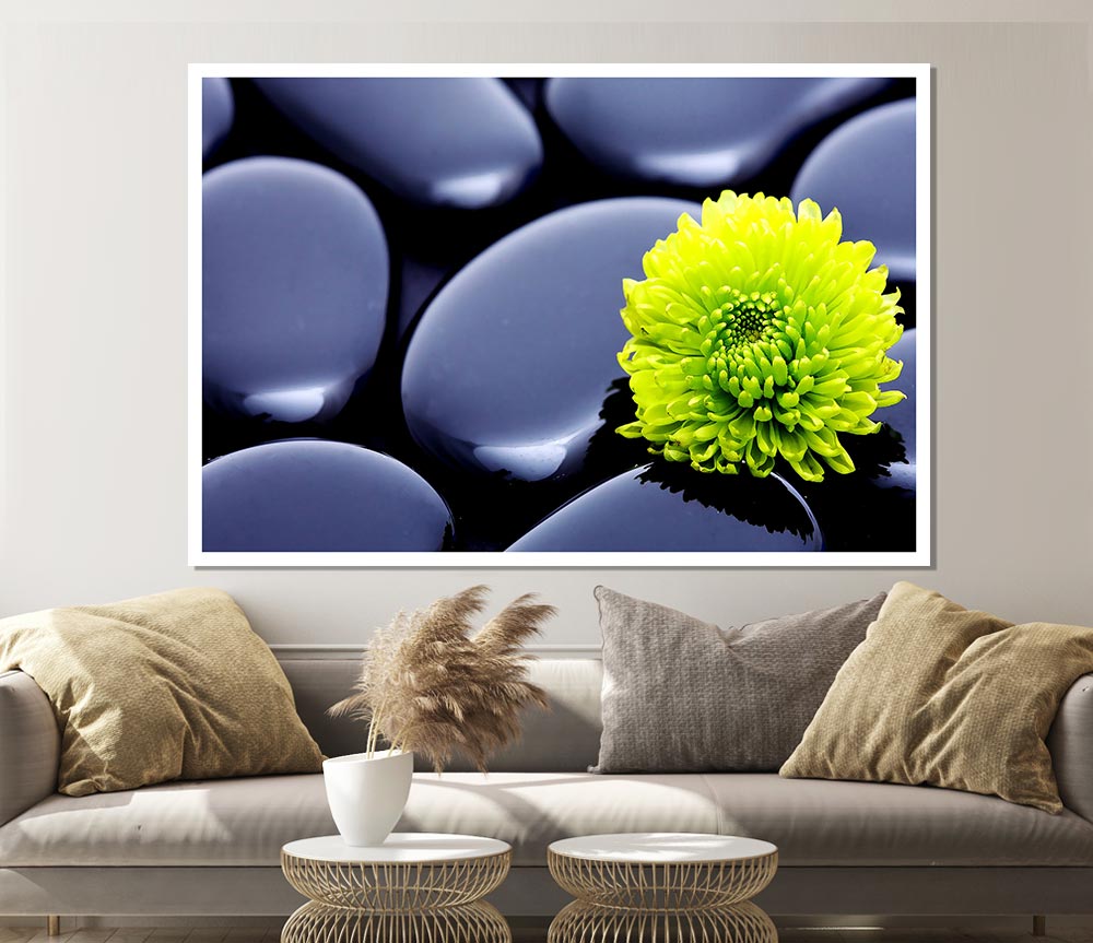 Black Zen Stones And A Yellow Mum Print Poster Wall Art