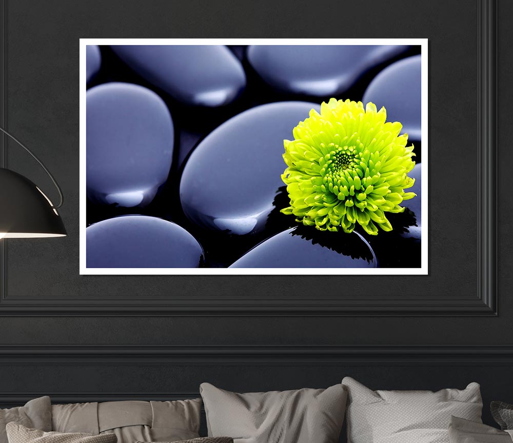 Black Zen Stones And A Yellow Mum Print Poster Wall Art