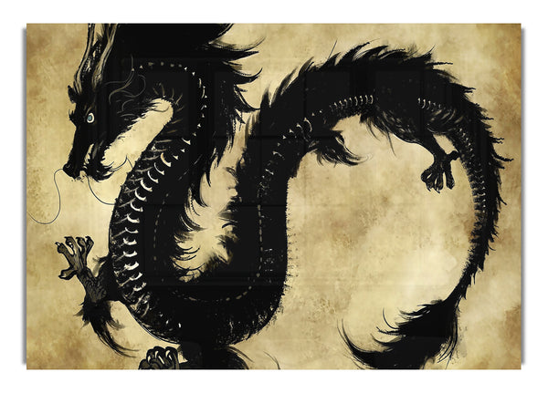 Chinese Black Dragon