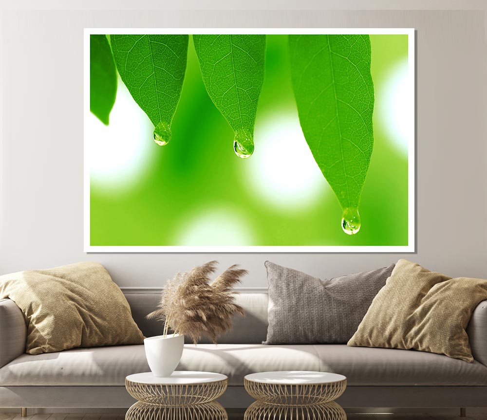 Tree Leaves With Dew Print Poster Wall Art