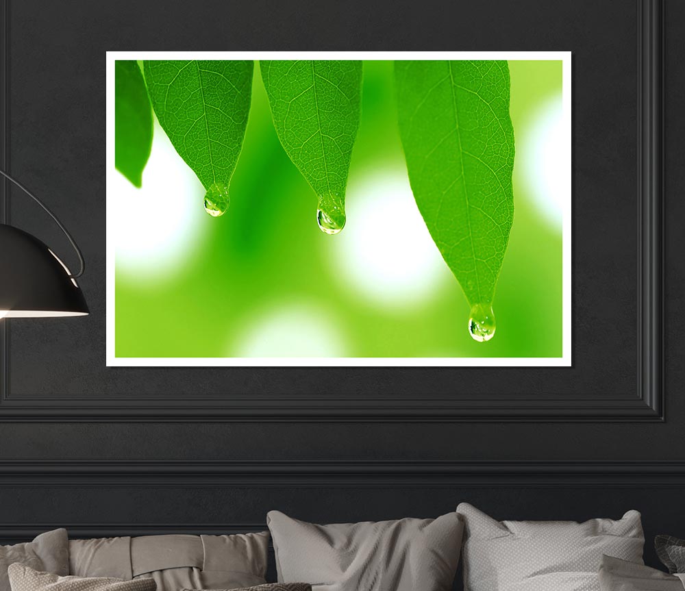 Tree Leaves With Dew Print Poster Wall Art