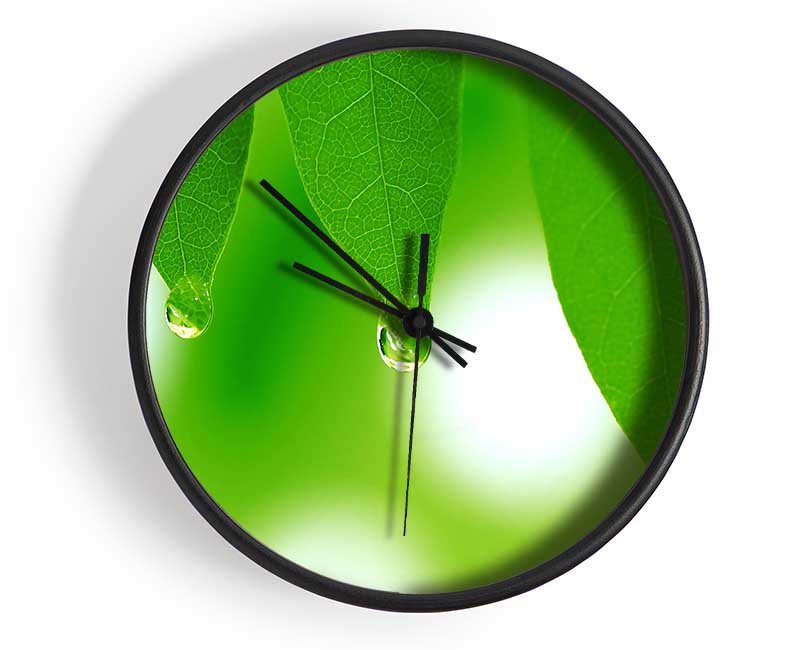 Tree Leaves With Dew Clock - Wallart-Direct UK