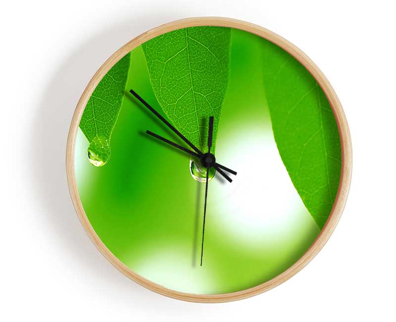 Tree Leaves With Dew Clock - Wallart-Direct UK