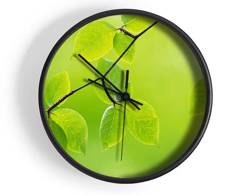 Branch With Green Leaves In The Sun Clock - Wallart-Direct UK