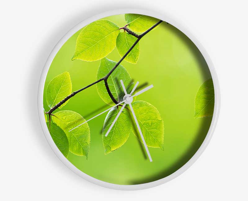 Branch With Green Leaves In The Sun Clock - Wallart-Direct UK