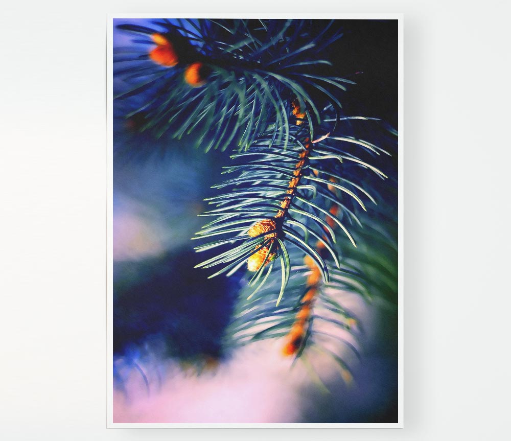 Fir Needles Macro Print Poster Wall Art