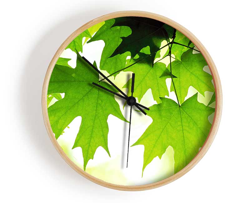 Summer Leaves Clock - Wallart-Direct UK