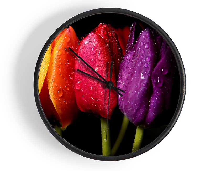 Colourful Tulips Clock - Wallart-Direct UK