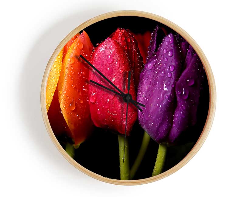 Colourful Tulips Clock - Wallart-Direct UK