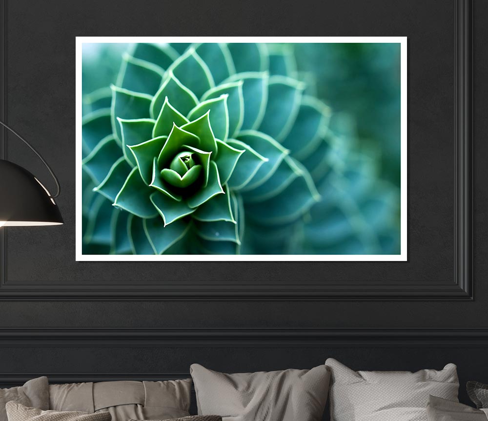 Beautiful Plant Print Poster Wall Art