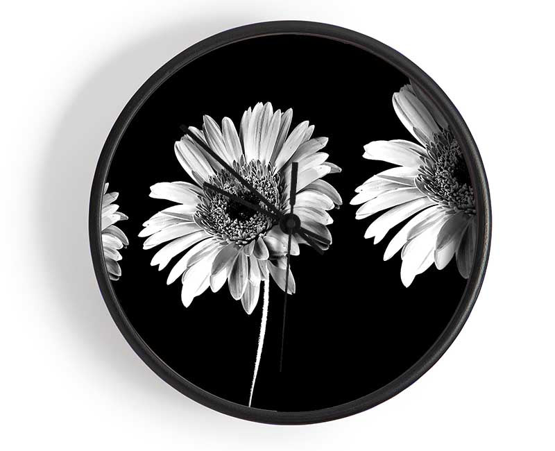 Gerbera Daisies Black And White Clock - Wallart-Direct UK