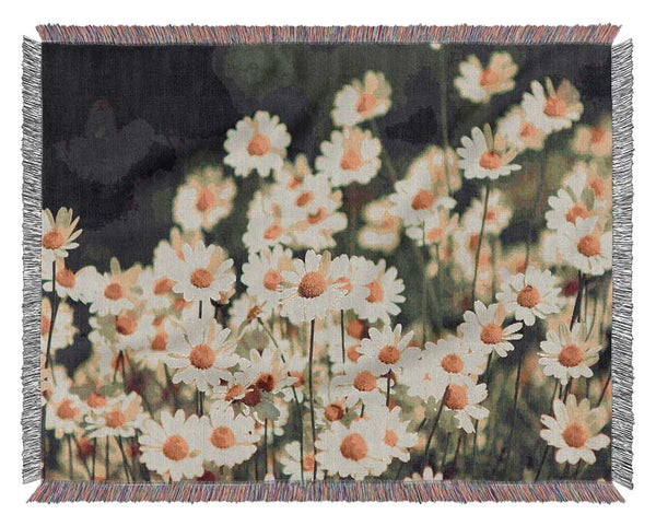 Vintage Daisies Woven Blanket