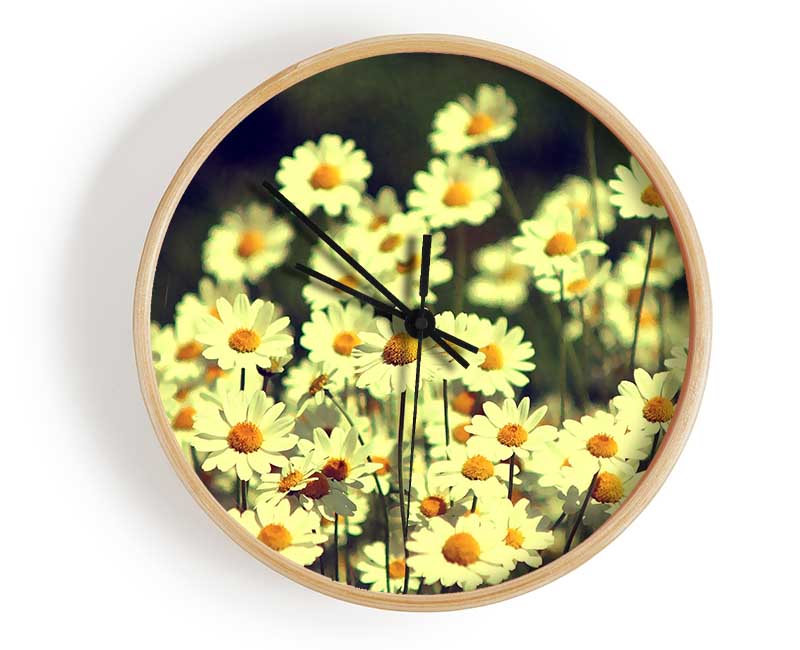 Vintage Daisies Clock - Wallart-Direct UK