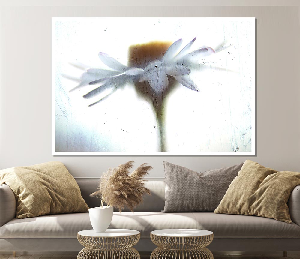 Vintage Daisy Print Poster Wall Art