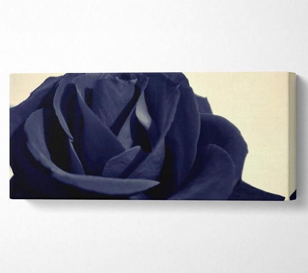 Black Blue Rose