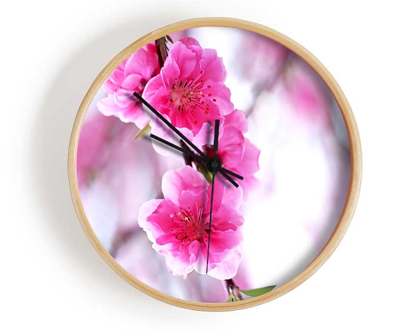 Plum Blossoms Blooming Clock - Wallart-Direct UK