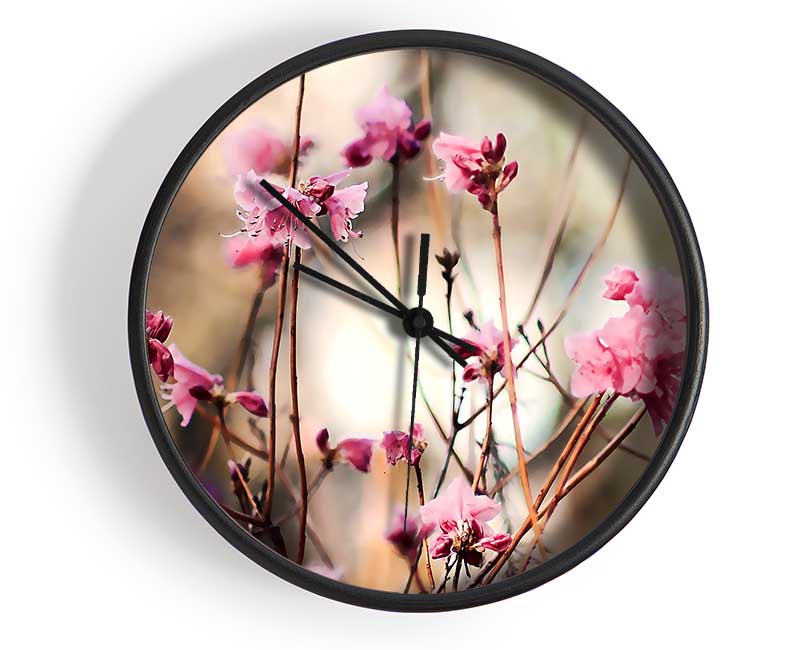 Spring Teasers Clock - Wallart-Direct UK