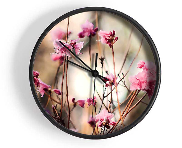 Spring Teasers Clock - Wallart-Direct UK