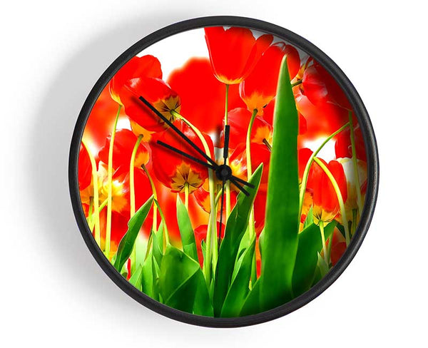 Red Tulips From Under Clock - Wallart-Direct UK