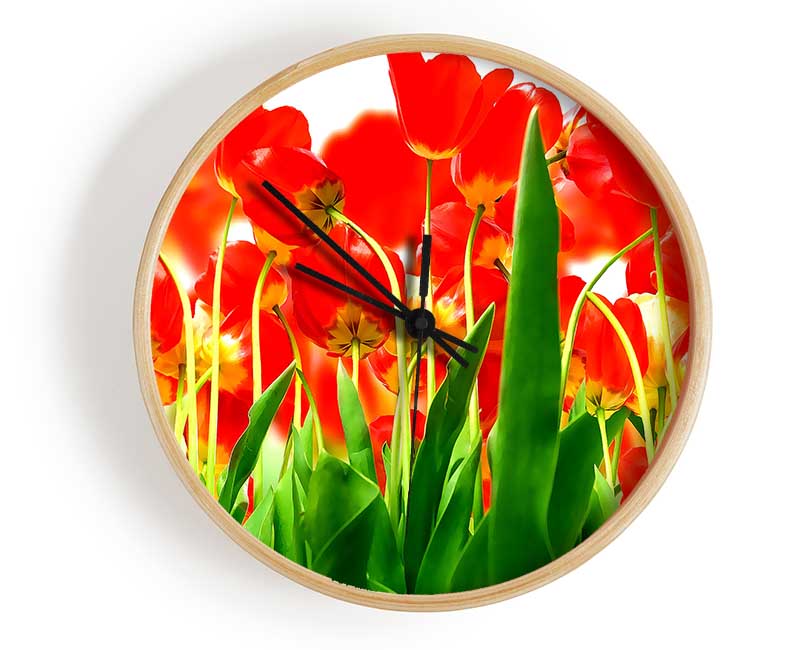 Red Tulips From Under Clock - Wallart-Direct UK