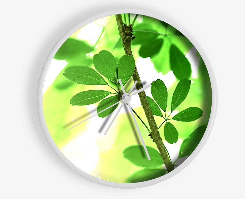 Spring Has Sprung Clock - Wallart-Direct UK