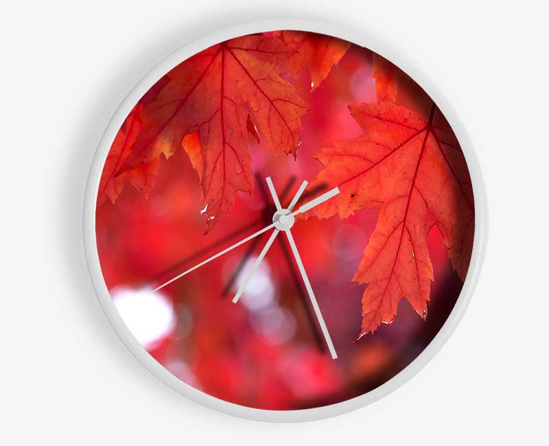 Red Autumn Clock - Wallart-Direct UK