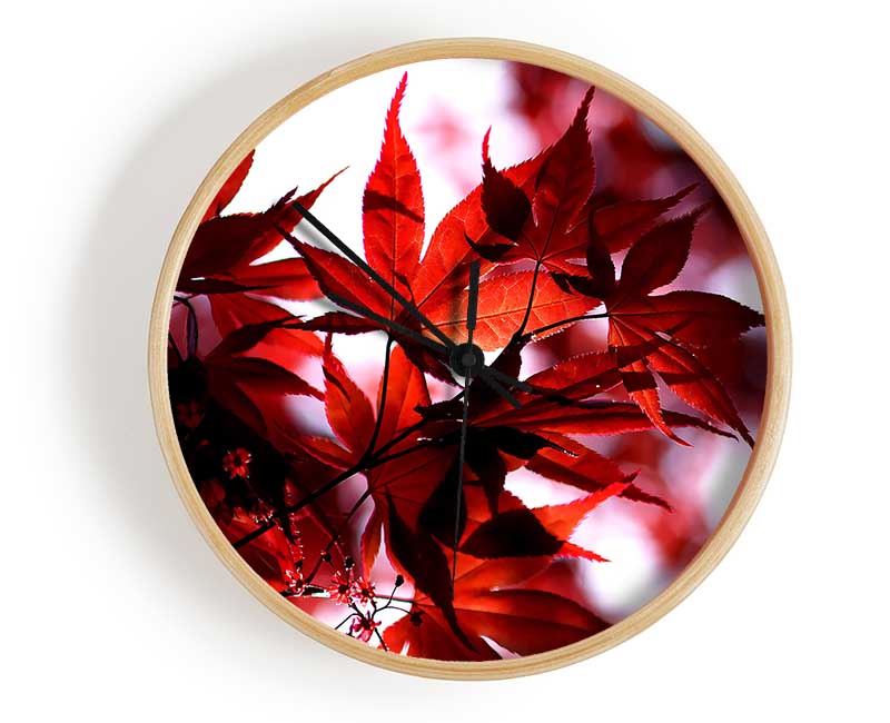 Spring Red Clock - Wallart-Direct UK