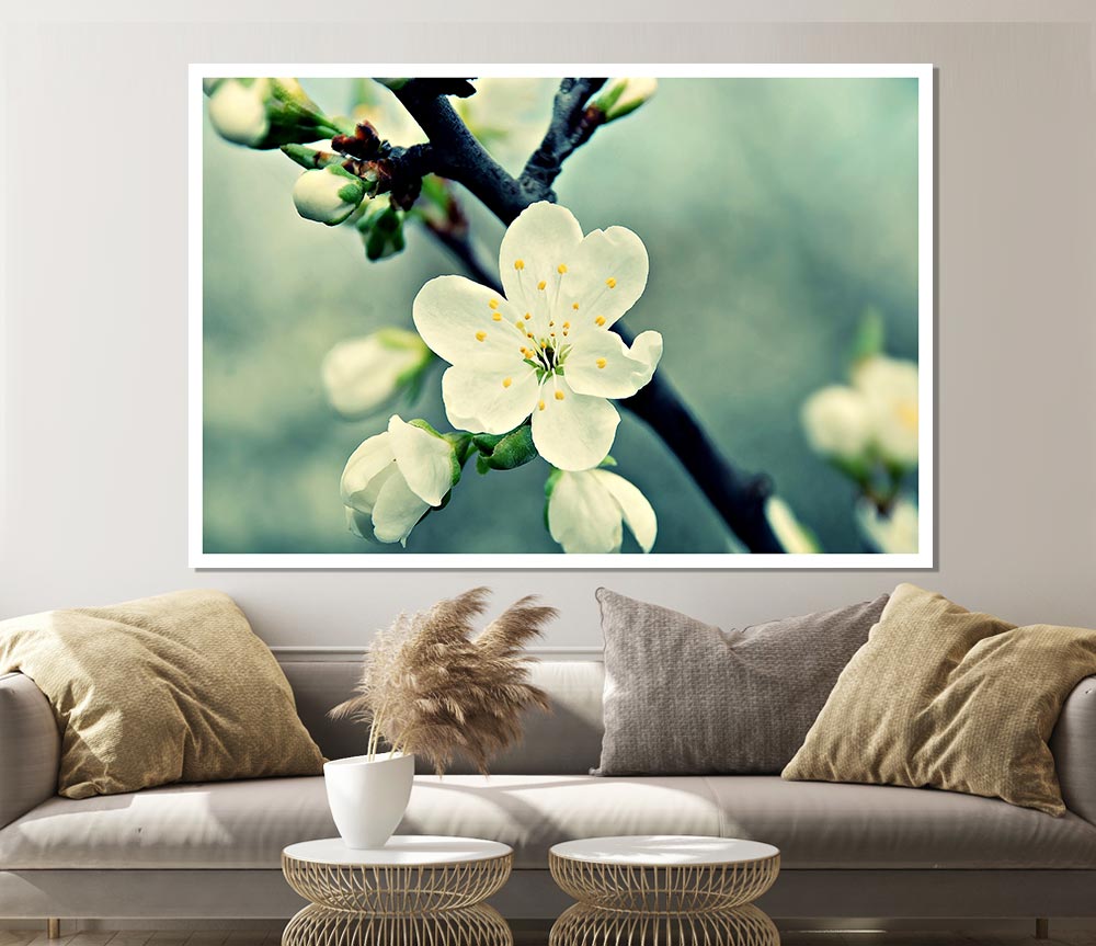 Beautiful Apple Blossom Print Poster Wall Art