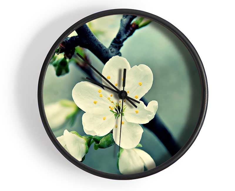 Beautiful Apple Blossom Clock - Wallart-Direct UK