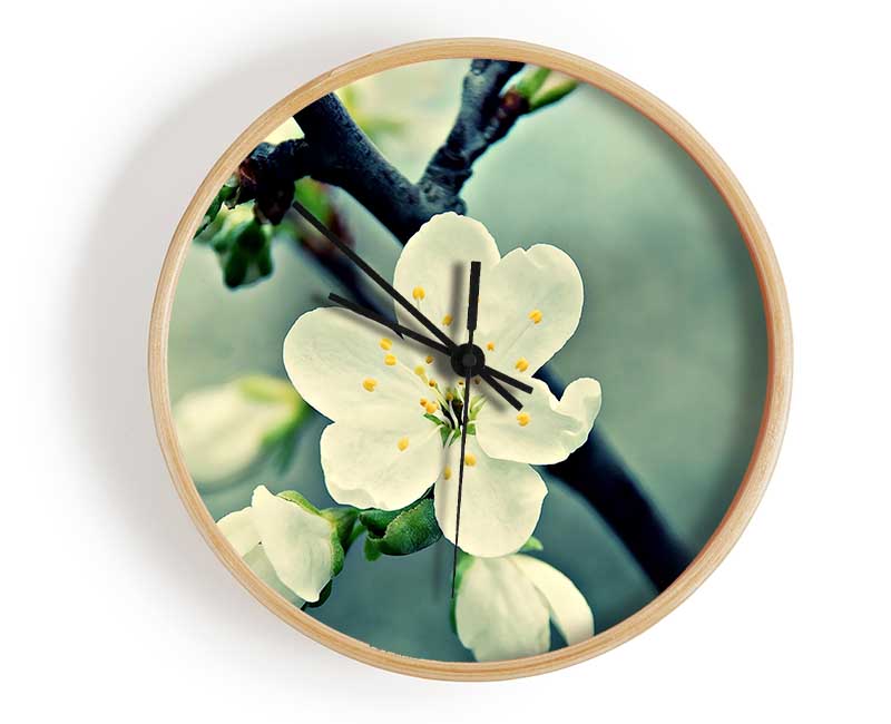 Beautiful Apple Blossom Clock - Wallart-Direct UK