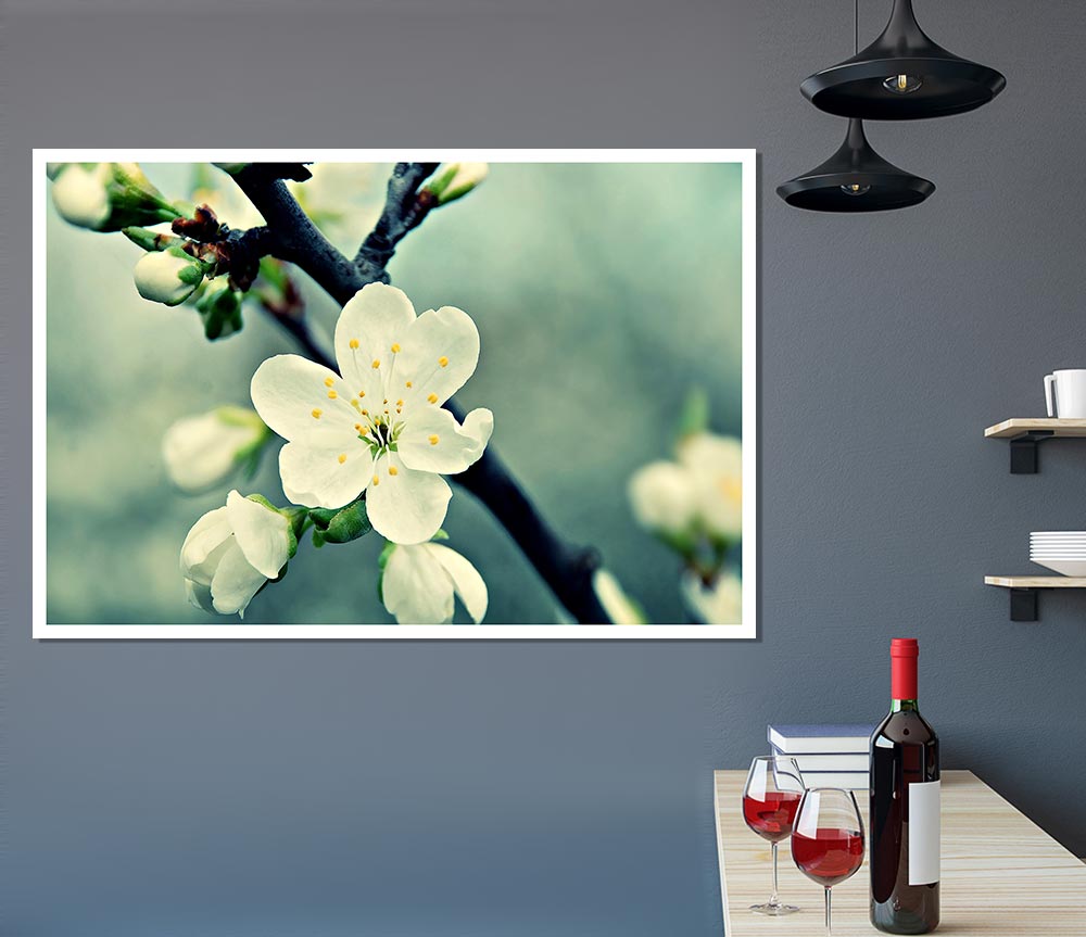 Beautiful Apple Blossom Print Poster Wall Art