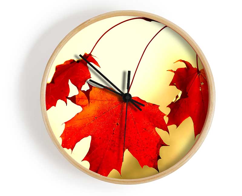 Red Oak Leaves Close Up Clock - Wallart-Direct UK