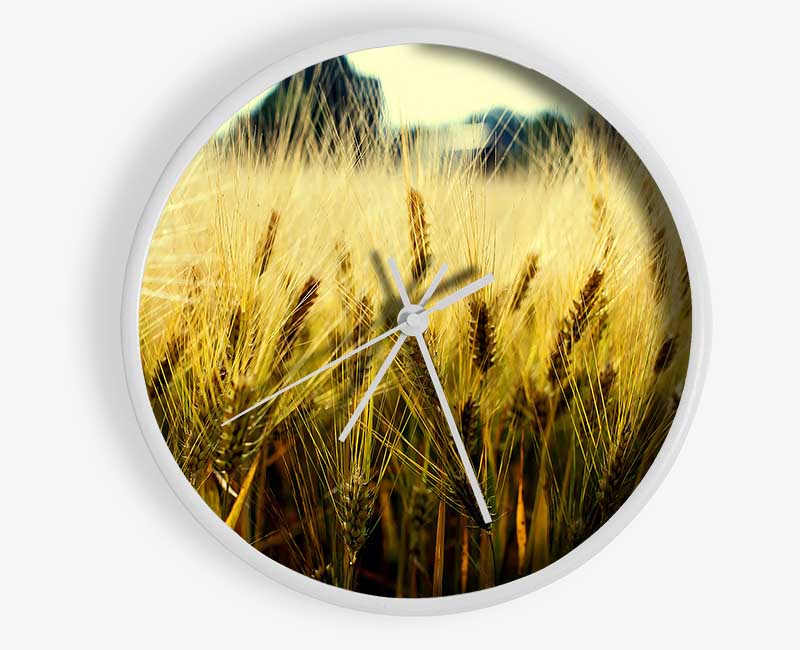 Yellow Grain Clock - Wallart-Direct UK