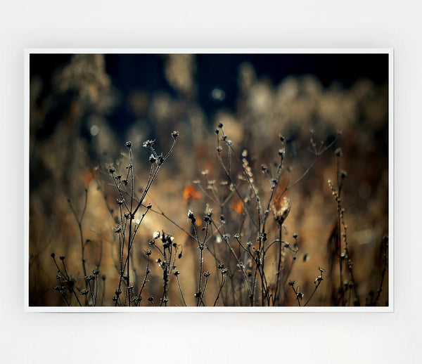 Autumn Just Before Winter Print Poster Wall Art