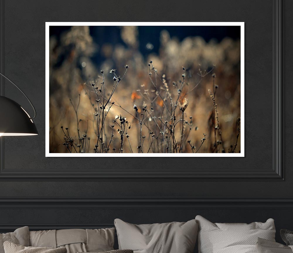 Autumn Just Before Winter Print Poster Wall Art