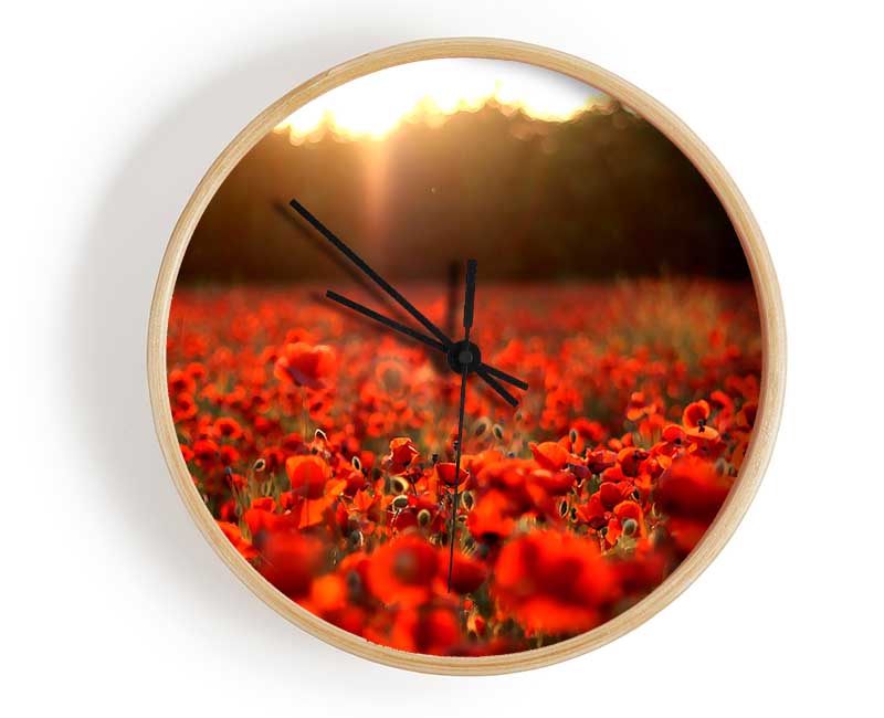 Poppies Meadow Clock - Wallart-Direct UK