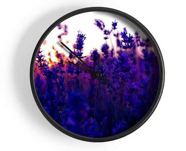 Lavender Field And Sunset Clock - Wallart-Direct UK