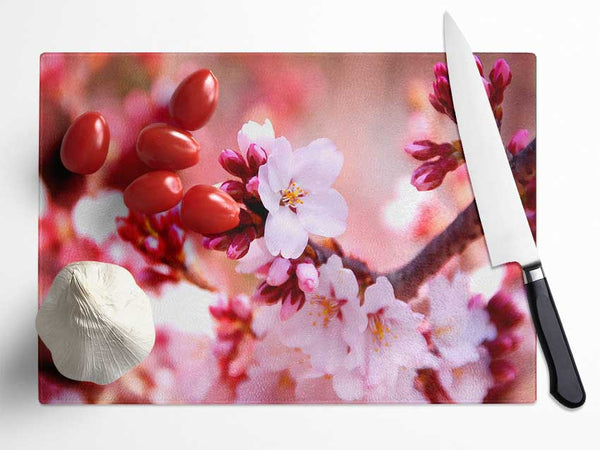 Cherry Blossom Buds Glass Chopping Board