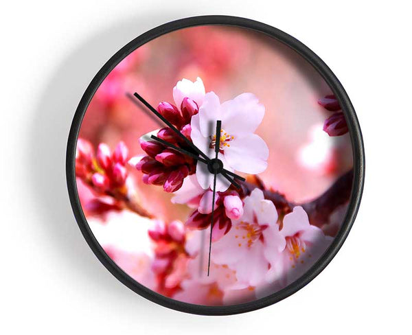 Cherry Blossom Buds Clock - Wallart-Direct UK